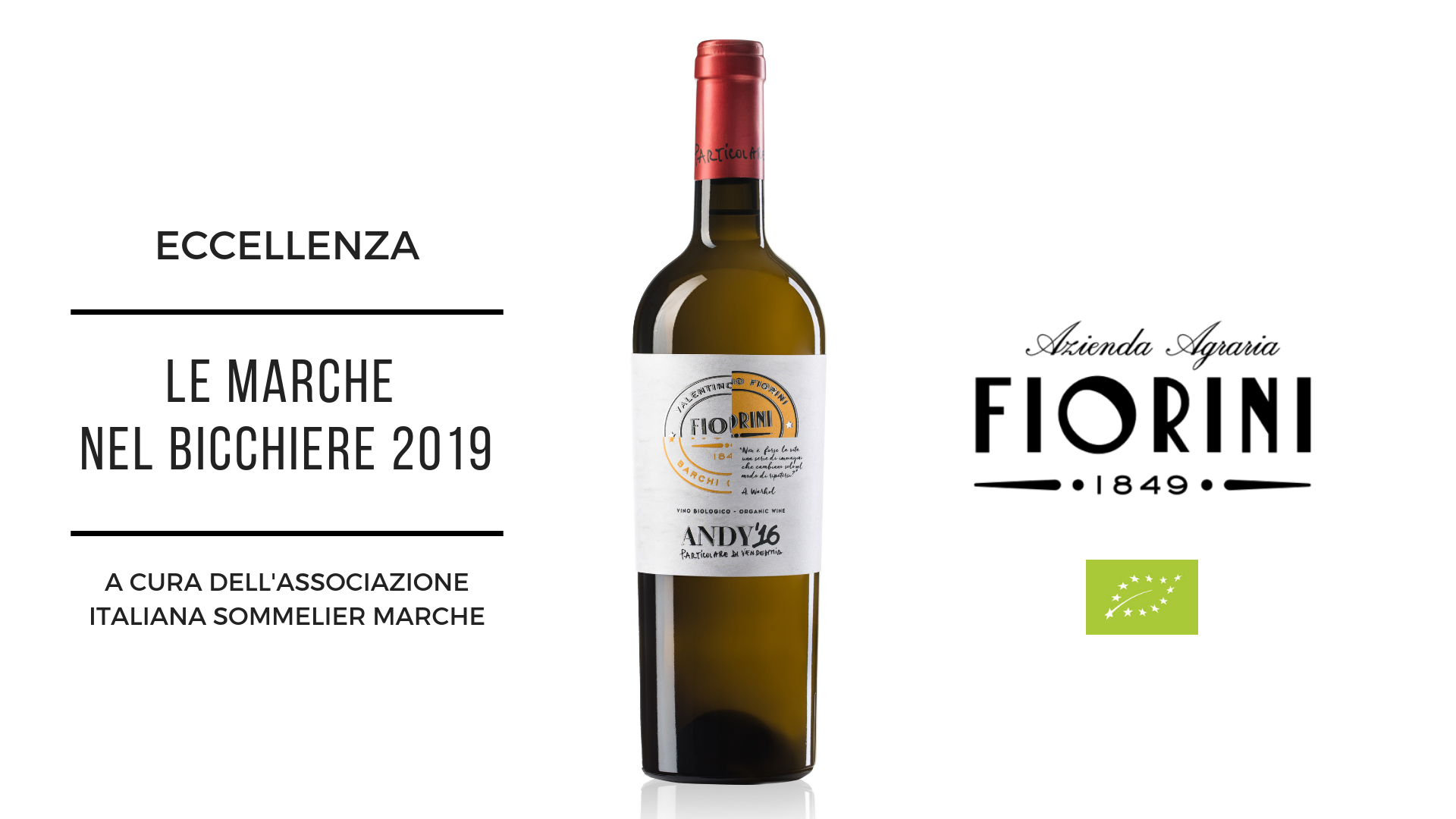 LE MARCHE NEL BICCHIERE 2019